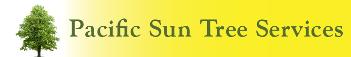 pacific sun tree logo
